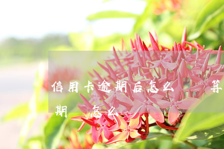 信用卡逾期后怎么還劃算-如果說信用卡逾期會怎么樣