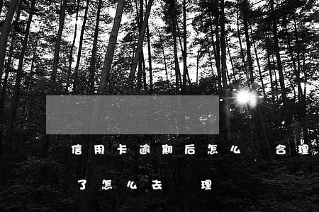 信用卡逾期后怎么還合理(信用卡逾期了還完了怎么去處理)