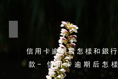 信用卡逾期后怎樣和銀行協(xié)商還款-信用卡逾期后怎樣和銀行協(xié)商還款呢
