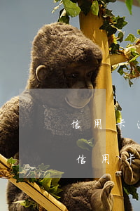 信用卡逾期后怎樣和銀行聯(lián)系(信用卡逾期后怎樣和銀行聯(lián)系還款)
