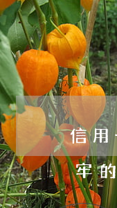 信用卡逾期后怎樣坐牢(有沒有信用卡逾期坐牢的老哥)