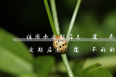 信用卡逾期后怎樣覆蓋不好的記錄-信用卡逾期后怎樣覆蓋不好的記錄呢