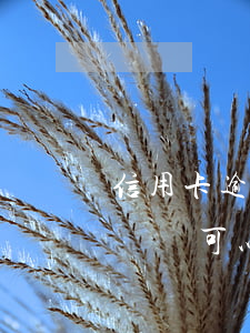 信用卡逾期后怎樣覆蓋不好的記錄(信貸逾期記錄可以消除嗎)