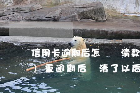 信用卡逾期后怎樣還清款(信用卡嚴(yán)重逾期后還清了以后還能不能貸款)
