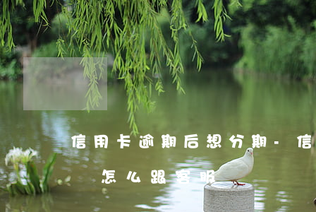 信用卡逾期后想分期-信用卡逾期后想分期還怎么跟客服說