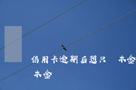 信用卡逾期后想只還本金(信用卡逾期能只還本金嗎)