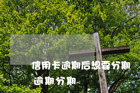信用卡逾期后想要分期還該怎么辦-信用卡 逾期 分期