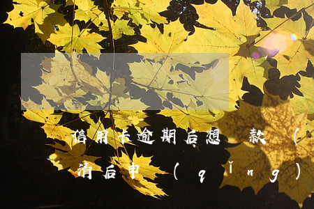 信用卡逾期后想還款(嚴(yán)重逾期還清后申請(qǐng)信用卡)