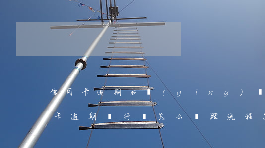信用卡逾期后應(yīng)該做什么(信用卡逾期銀行會怎么處理,流程怎么樣)