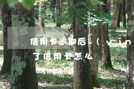 信用卡逾期后應(yīng)該怎么做 逾期了信用卡怎么辦