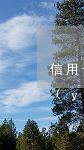信用卡逾期后應(yīng)該怎么還款(嚴(yán)重逾期還清后申請信用卡)