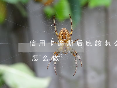 信用卡逾期后應該怎么做(信用卡逾期后應該怎么做)