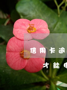 信用卡逾期后應該怎么辦理(之前逾期了怎么樣才能申請信用卡?)