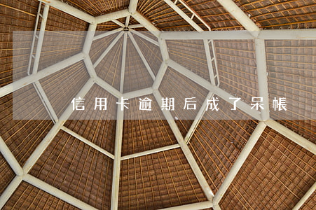 信用卡逾期后成了呆帳