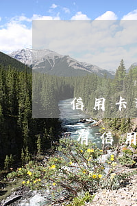信用卡逾期后房子如何拍賣(mài)(房主有信用卡逾期會(huì)影響賣(mài)房子過(guò)戶嗎)