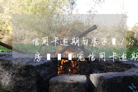 信用卡逾期后房子會(huì)被拍賣嗎-房貸沒還完信用卡逾期,可以拍賣房子嗎