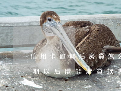 信用卡逾期后房貸怎么辦(信用卡逾期,房貸逾期,以后還能辦貸款嗎)