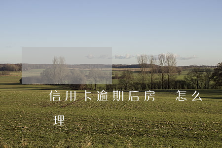 信用卡逾期后房貸怎么辦理(房貸逾期如何辦理)