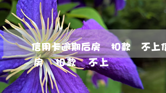 信用卡逾期后房貸扣款還不上(信用卡逾期后房貸扣款還不上)