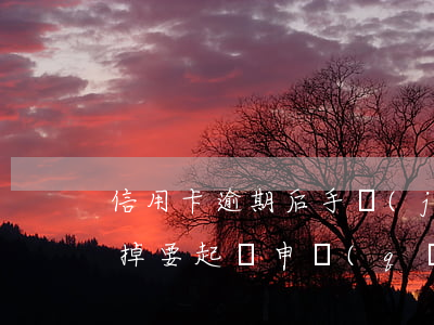 信用卡逾期后手機(jī)號(hào)換掉要起訴(申請(qǐng)的信用卡手機(jī)號(hào)換了怎么辦)