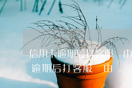 信用卡逾期后打客服說由專員負責-信用卡逾期后打客服說由專員負責是真的嗎