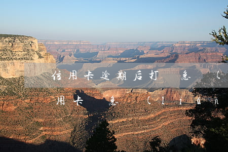 信用卡逾期后打緊急聯(lián)系人(信用卡 緊急聯(lián)系人)