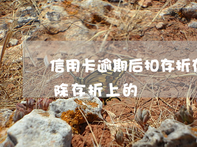 信用卡逾期后扣存折存錢嗎(欠銀行信用卡扣除存折上的錢)
