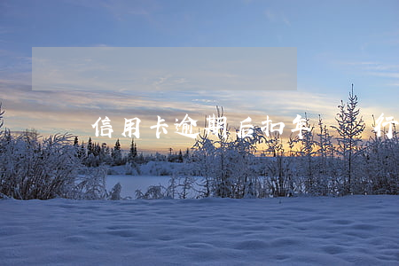 信用卡逾期后扣年費(銀行卡年費逾期)