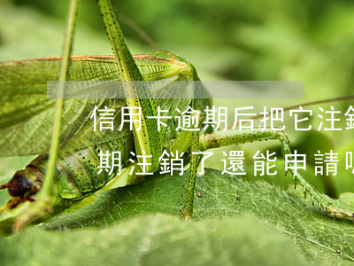 信用卡逾期后把它注銷好嗎(之前的信用卡逾期注銷了還能申請嗎)