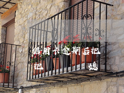信用卡逾期后把車過戶給媳婦(信用卡逾期后把車過戶給媳婦)