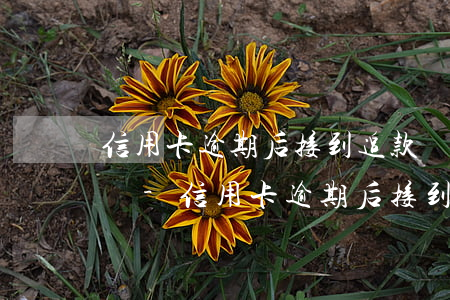 信用卡逾期后接到追款電話(huà)怎么辦-信用卡逾期后接到追款電話(huà)怎么辦理