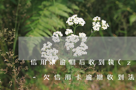 信用卡逾期后收到執(zhí)行通知后果-欠信用卡逾期收到法院傳票怎么辦