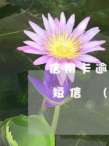 信用卡逾期后收到報(bào)案提醒(收到短信說(shuō)信用卡逾期)