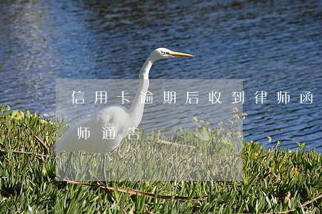 信用卡逾期后收到律师函(信用卡 逾期 收到 律师 通告)