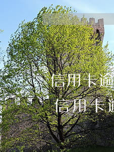 信用卡逾期后收到律師函無力償還怎么辦 欠信用卡逾期收到律師函