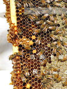信用卡逾期后收到法務(wù)人員短信(法務(wù)公司打電話信用卡逾期)