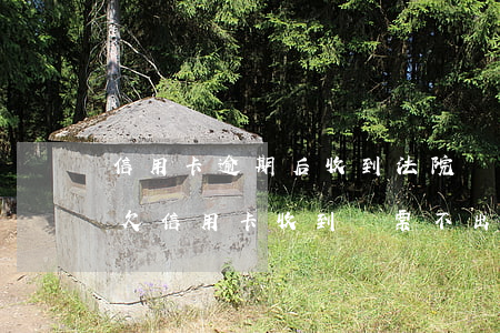 信用卡逾期后收到法院傳票,一般多久開庭-欠信用卡收到傳票不出庭有什么法律后果