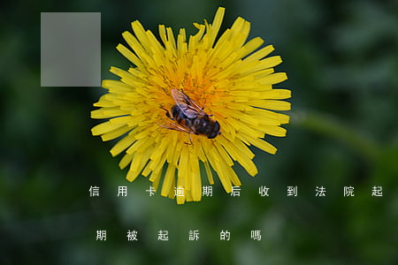信用卡逾期后收到法院起訴提示(有信用卡逾期被起訴的嗎)