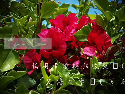 信用卡逾期后收到網(wǎng)逃的信息-欠信用卡報(bào)案到逮捕要多久