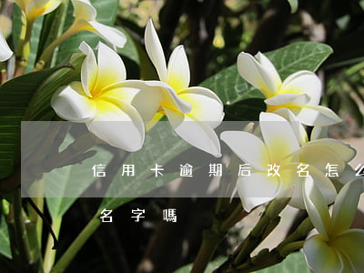 信用卡逾期后改名怎么辦(信用卡逾期可以改名字嗎)