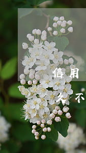 信用卡逾期后是不是不能坐高铁(欠信用卡多久不能坐高铁)