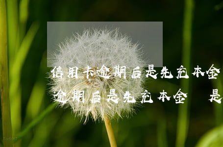 信用卡逾期后是先充本金還是利息-信用卡逾期后是先充本金還是利息呢