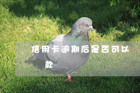 信用卡逾期后是否可以還最低 逾期還了最低還款