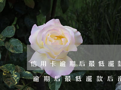信用卡逾期后最低還款后還能用嗎-信用卡逾期后最低還款后還能用嗎知乎