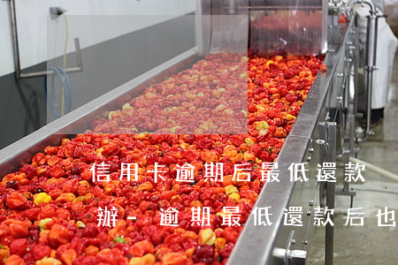 信用卡逾期后最低還款沒(méi)了怎么辦-逾期最低還款后也無(wú)法使用嗎