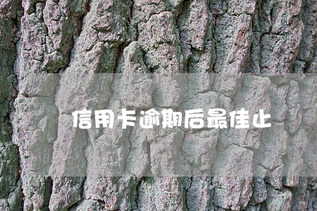 信用卡逾期后最佳止損