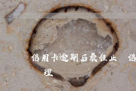 信用卡逾期后最佳止損(信用卡嚴重逾期最佳處理)