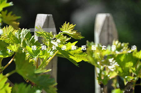 信用卡逾期后最大忌諱(逾期會影響信用卡嗎)