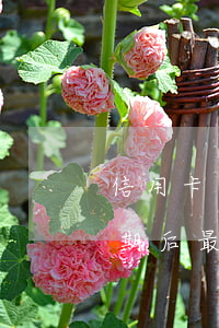 信用卡逾期后最忌諱的4個方法-信用卡逾期后最忌諱的4個方法是什么
