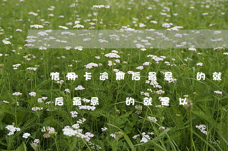 信用卡逾期后最忌諱的就是以貸 信用卡逾期后最忌諱的就是以貸還貸